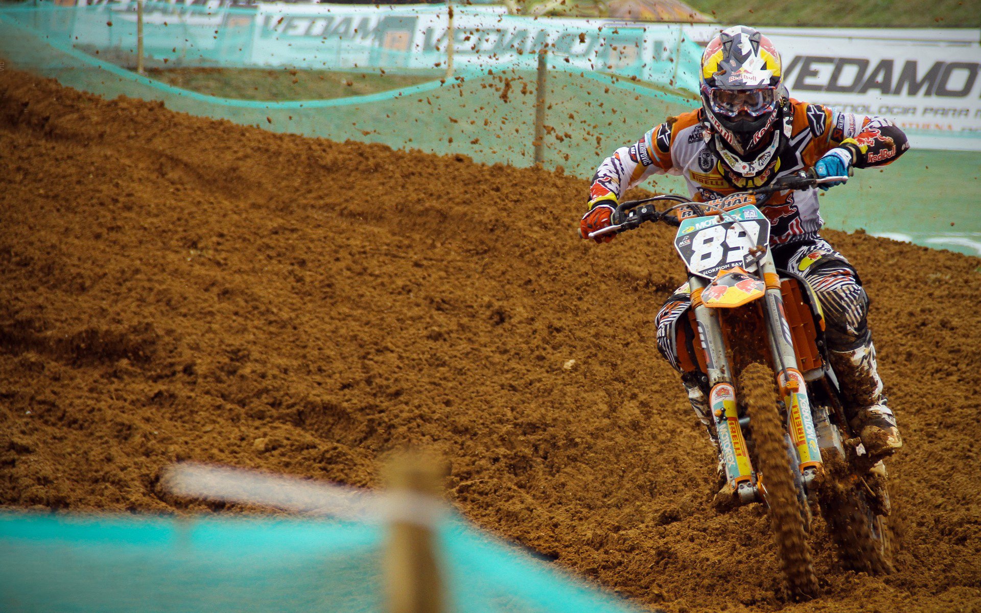 新人崭露头角,未来之星的强势崛起!,未来之星怎么解释